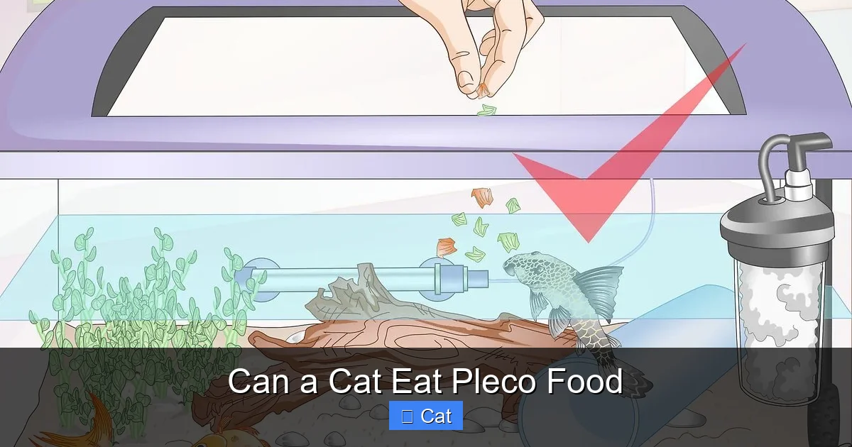 Can a Cat Eat Pleco Food