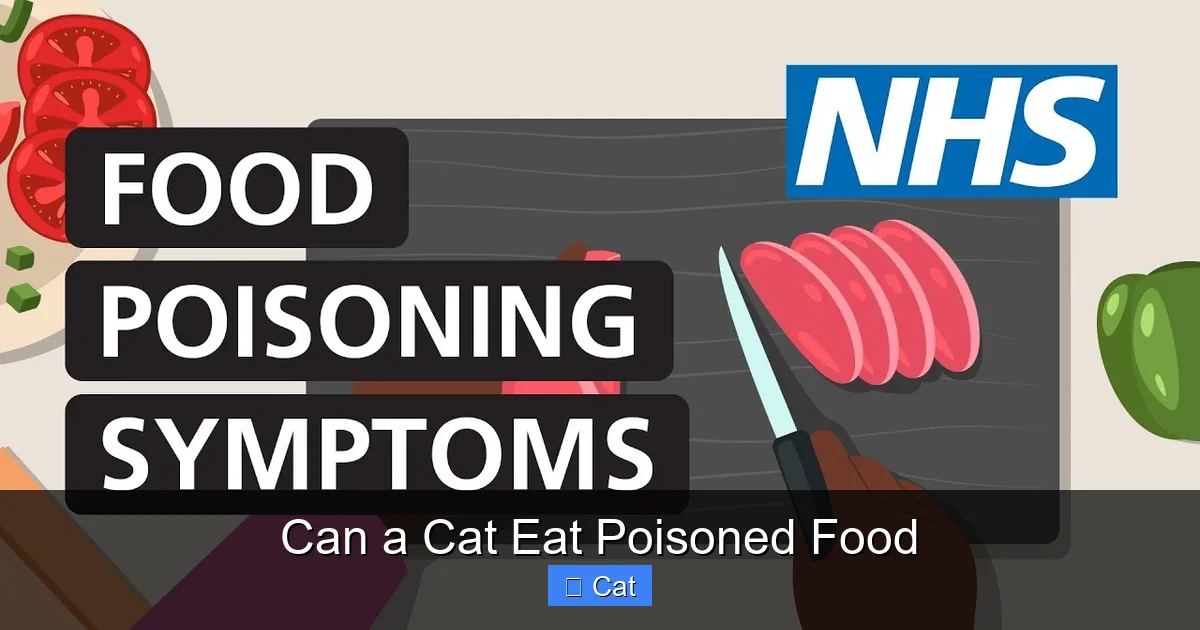 Can a Cat Eat Poisoned Food