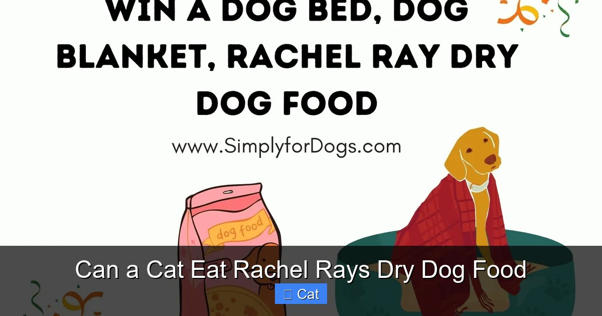 Can a Cat Eat Rachel Rays Dry Dog Food