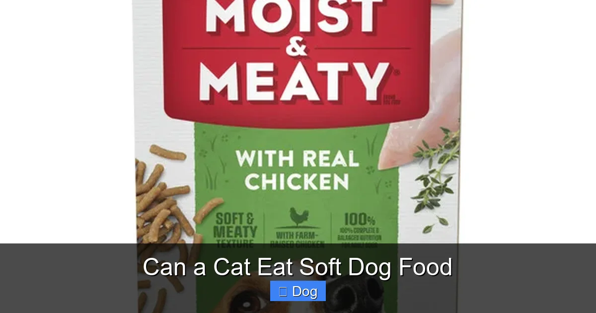 Can a Cat Eat Soft Dog Food