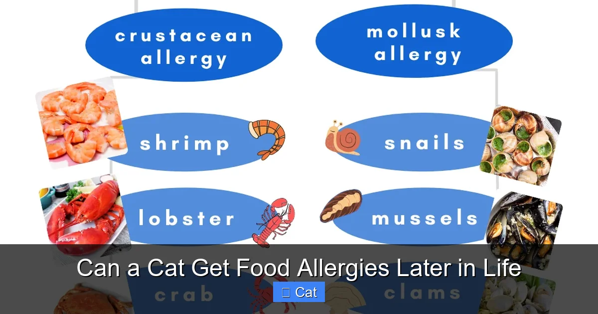 Can a Cat Get Food Allergies Later in Life