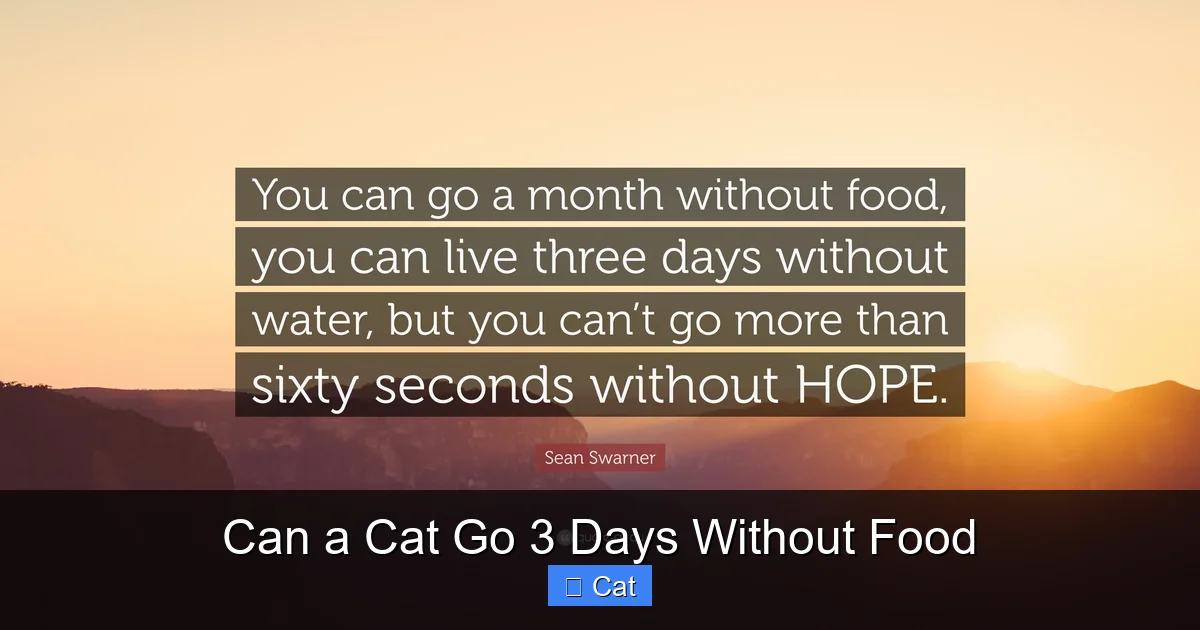 Can a Cat Go 3 Days Without Food