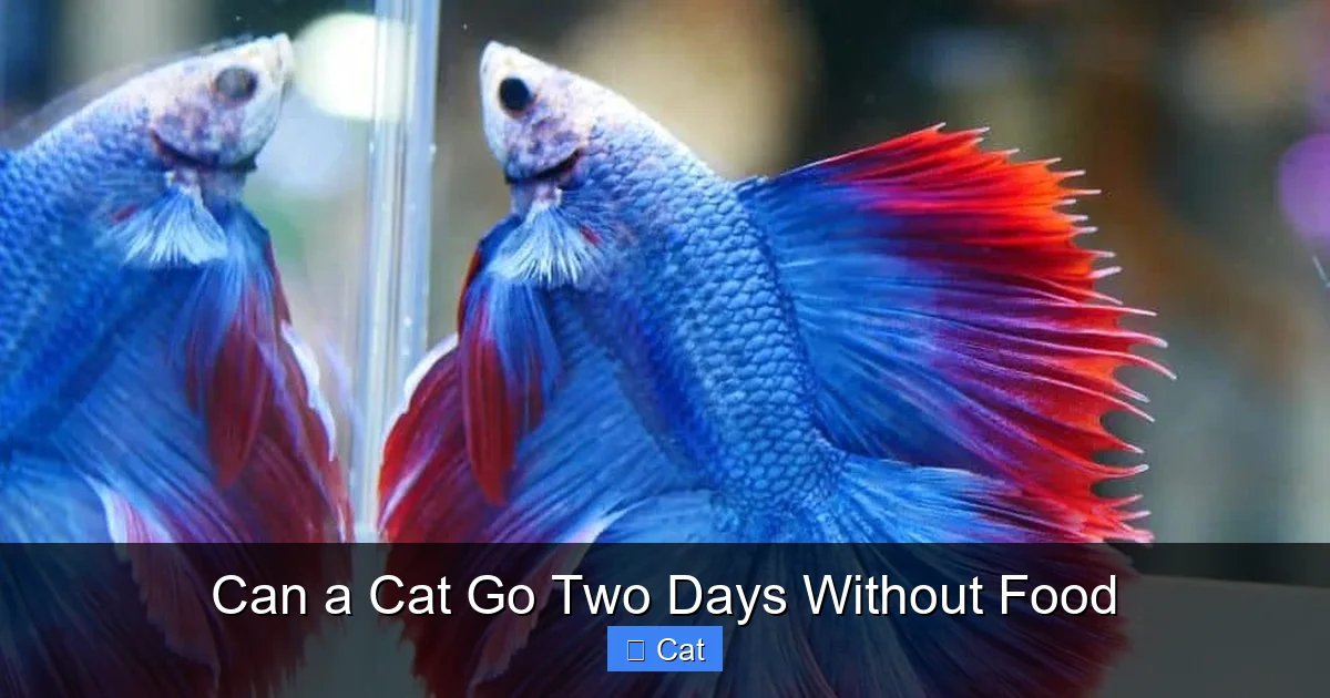 Can a Cat Go Two Days Without Food
