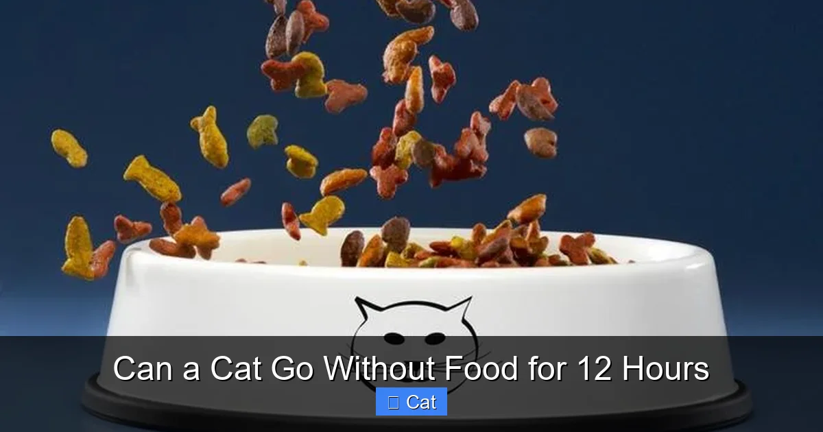 Can a Cat Go Without Food for 12 Hours