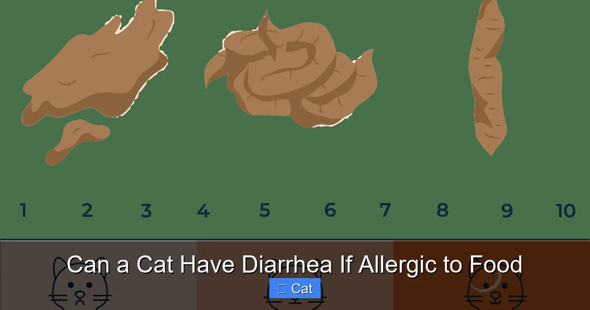 Can a Cat Have Diarrhea If Allergic to Food