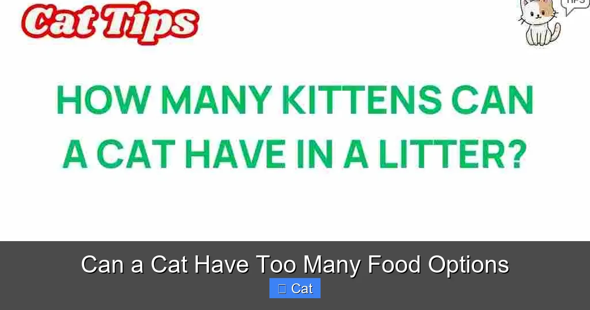 Can a Cat Have Too Many Food Options