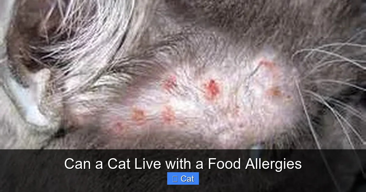 Can a Cat Live with a Food Allergies