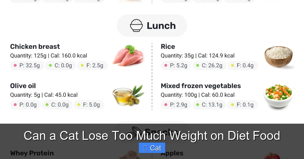Can a Cat Lose Too Much Weight on Diet Food