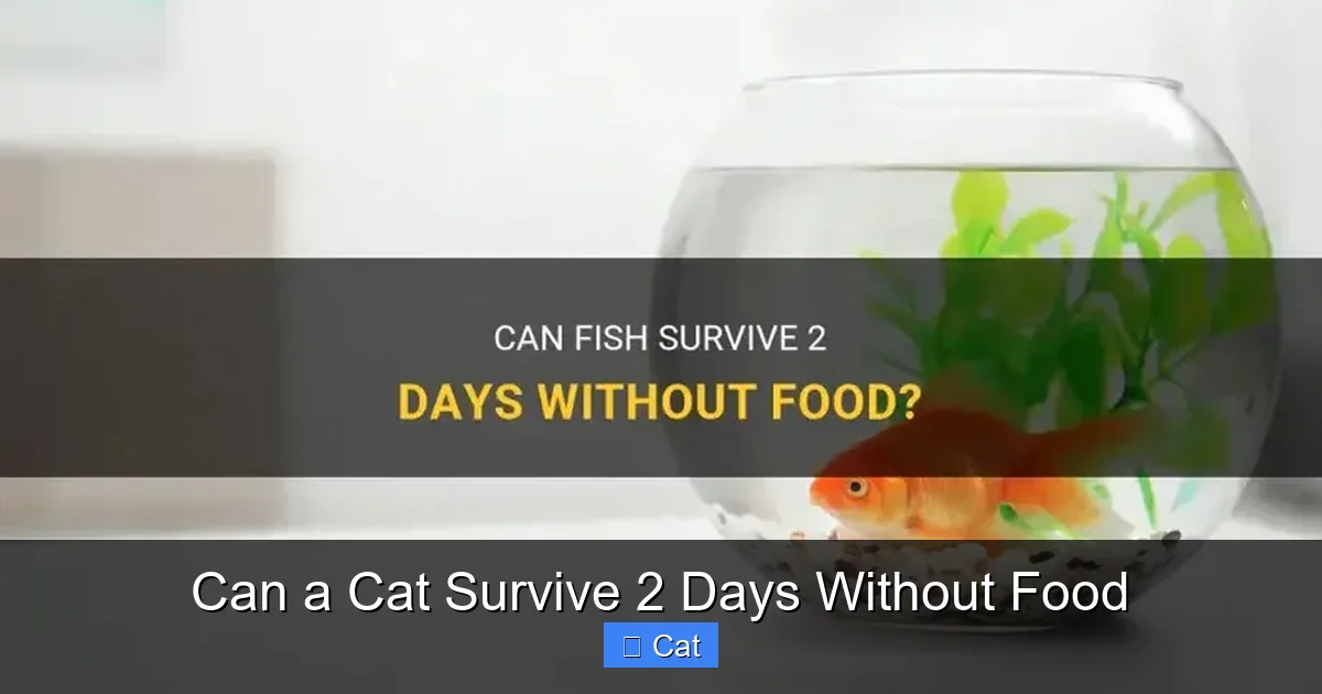 Can a Cat Survive 2 Days Without Food