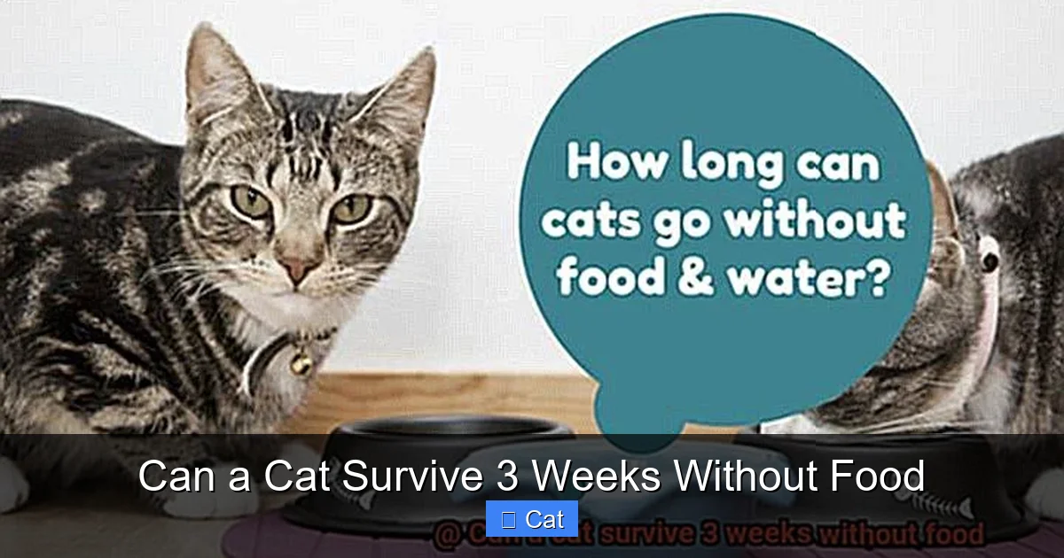Can a Cat Survive 3 Weeks Without Food