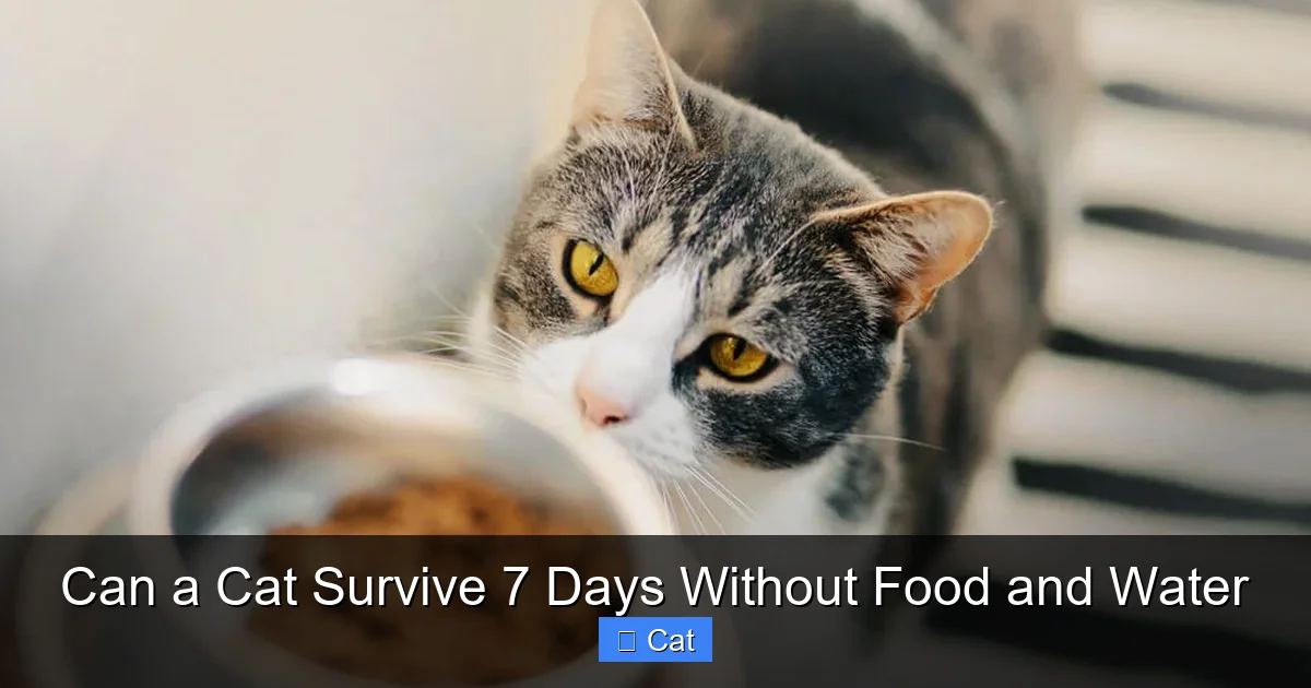 Can a Cat Survive 7 Days Without Food and Water