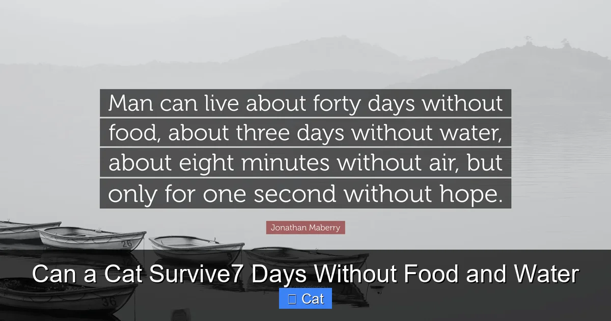 Can a Cat Survive7 Days Without Food and Water