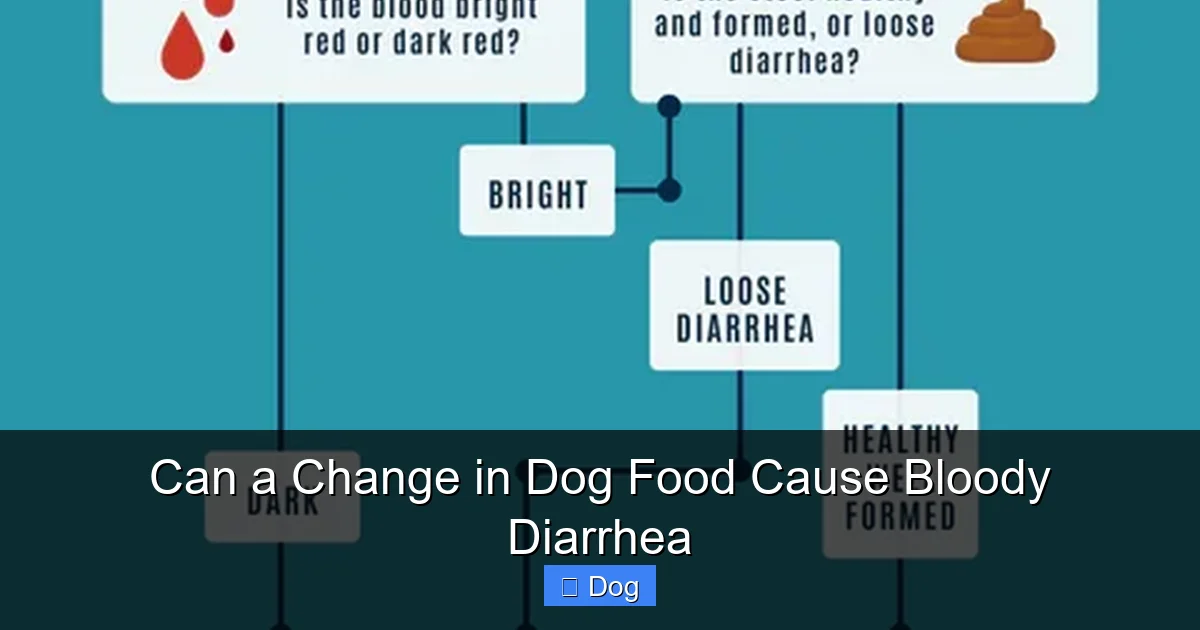 Can a Change in Dog Food Cause Bloody Diarrhea
