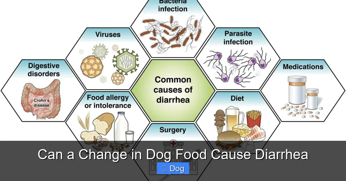 Can a Change in Dog Food Cause Diarrhea