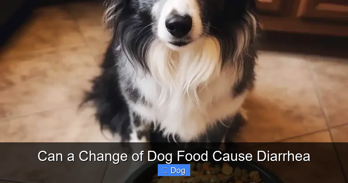Can a Change of Dog Food Cause Diarrhea