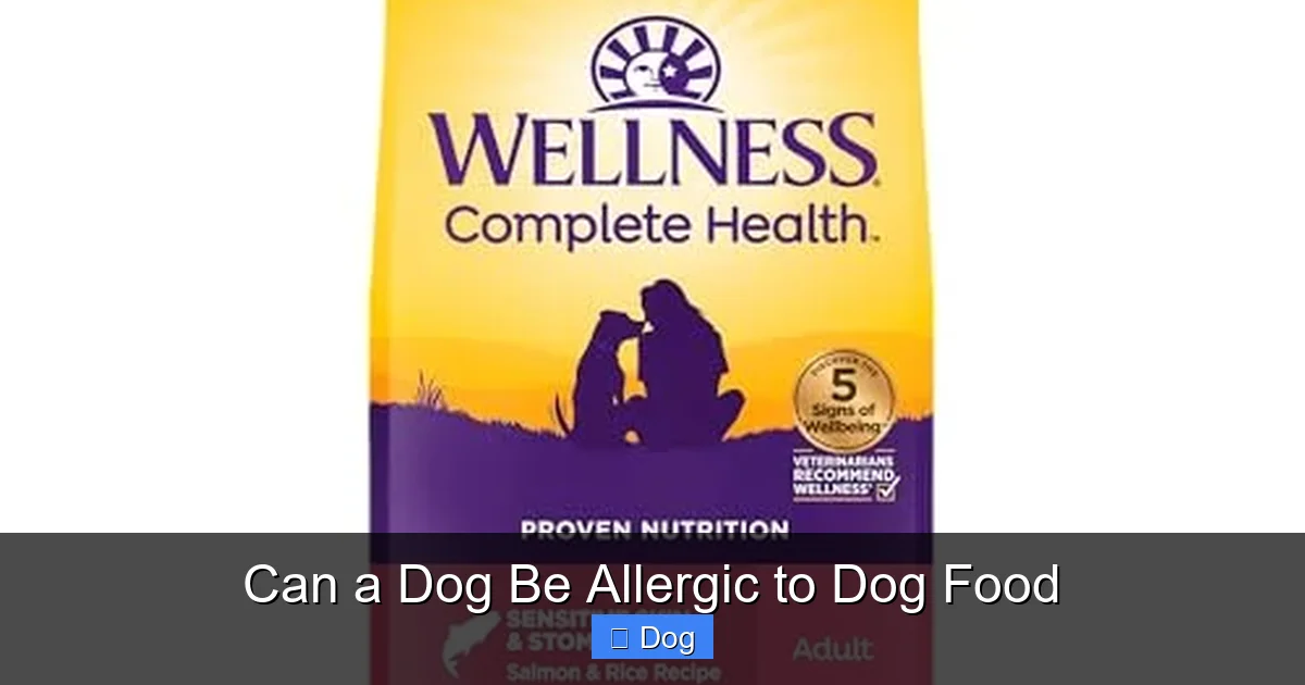 Can a Dog Be Allergic to Dog Food
