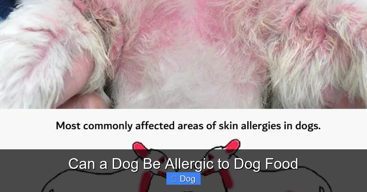Can a Dog Be Allergic to Dog Food