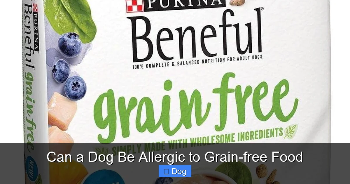 Can a Dog Be Allergic to Grain-free Food