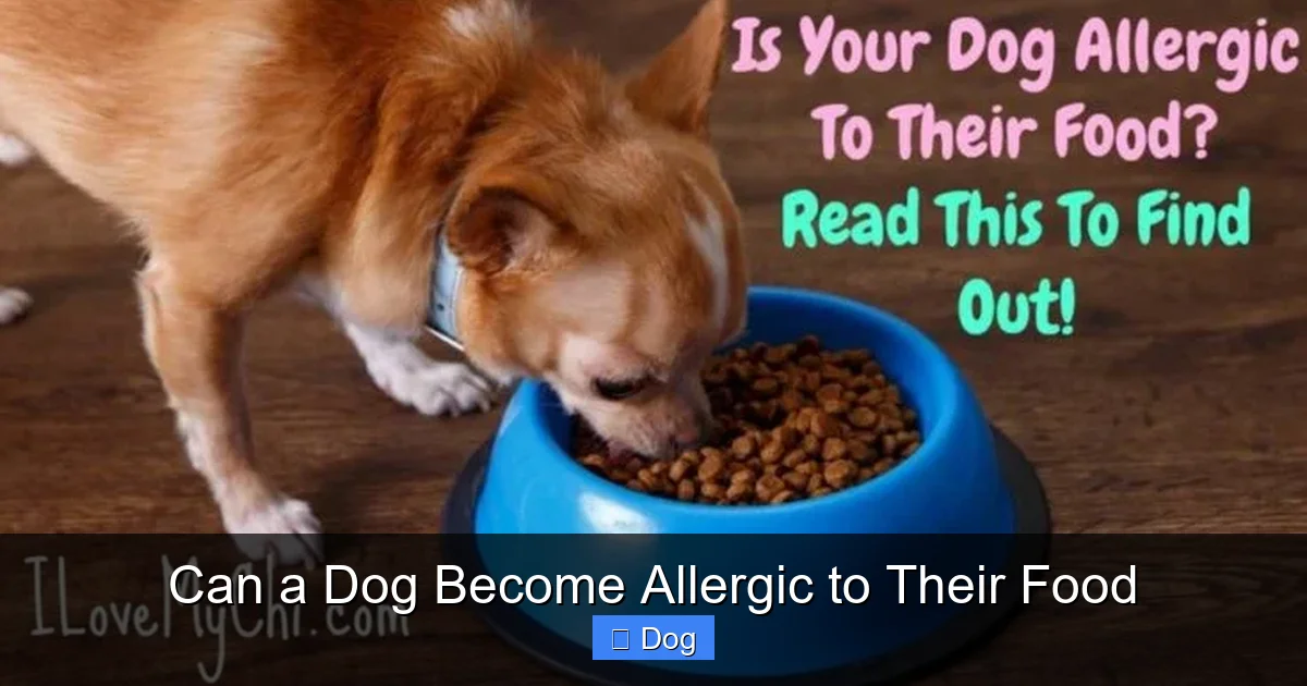 Can a Dog Become Allergic to Their Food
