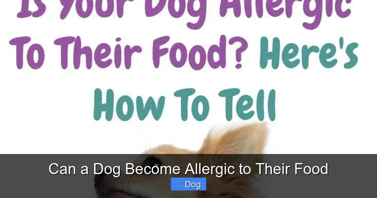 Can a Dog Become Allergic to Their Food