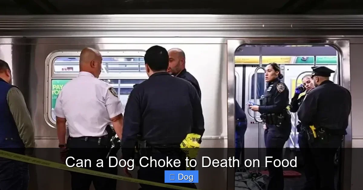 Can a Dog Choke to Death on Food