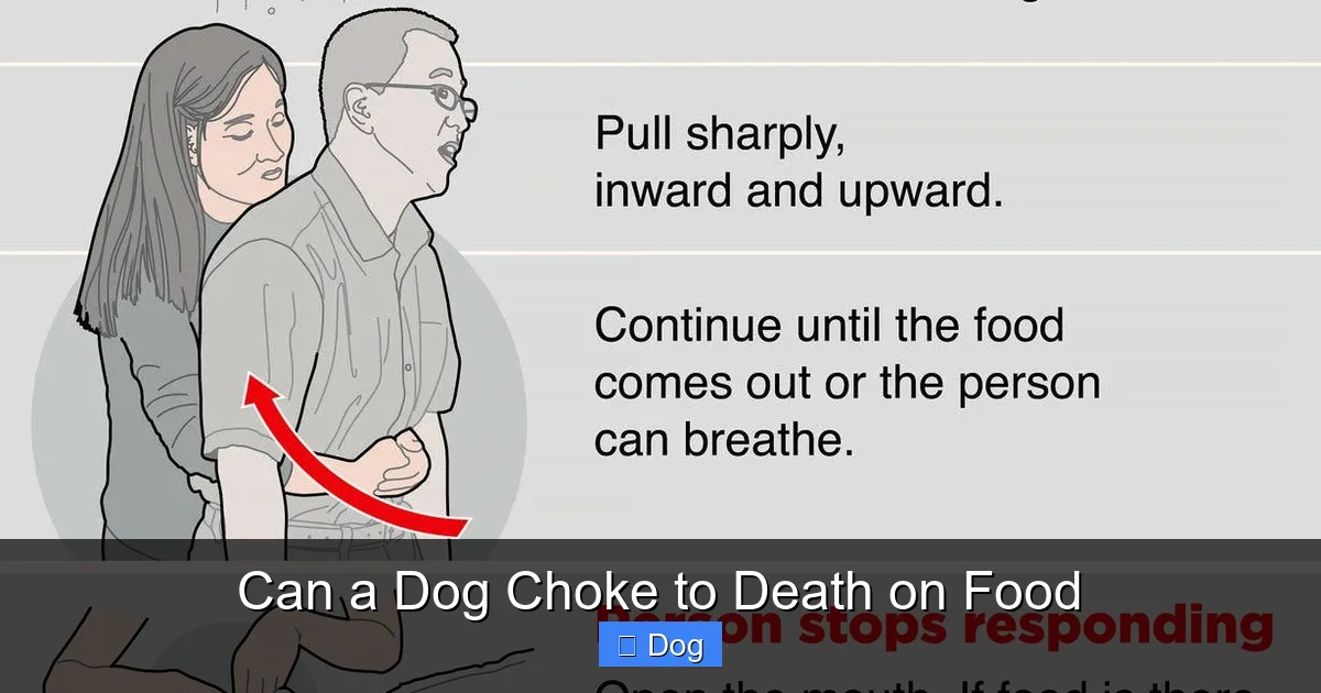 Can a Dog Choke to Death on Food