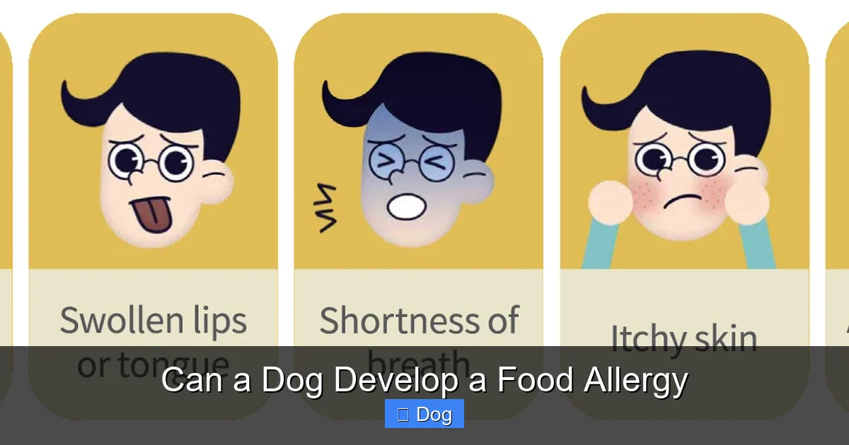 Can a Dog Develop a Food Allergy