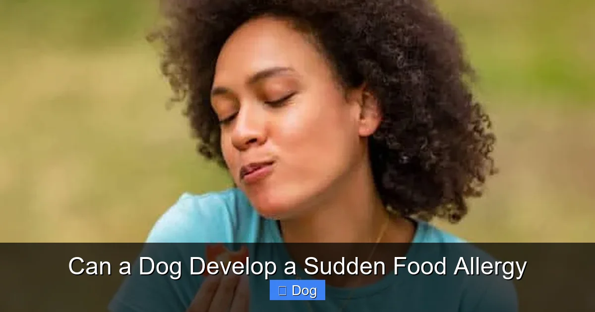Can a Dog Develop a Sudden Food Allergy