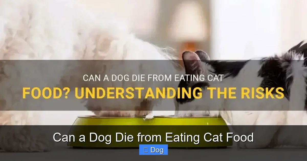 Can a Dog Die from Eating Cat Food
