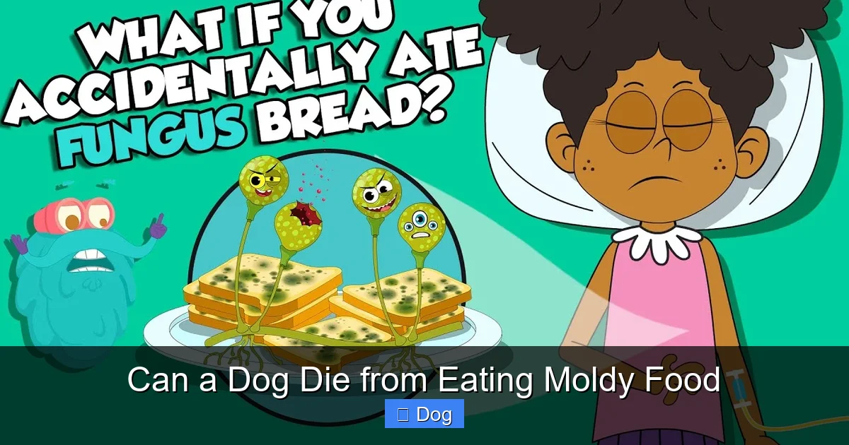Can a Dog Die from Eating Moldy Food
