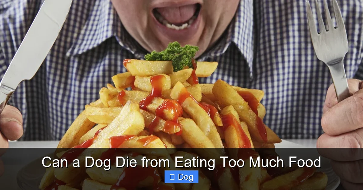 Can a Dog Die from Eating Too Much Food