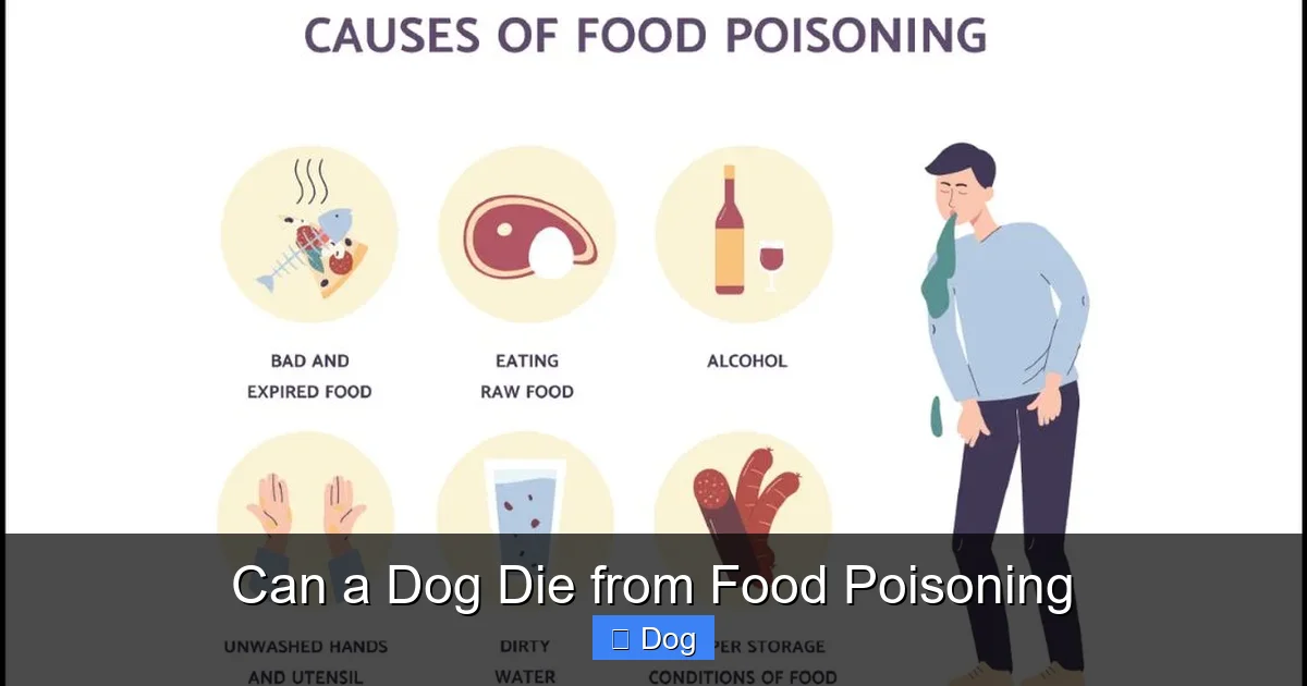 Can a Dog Die from Food Poisoning