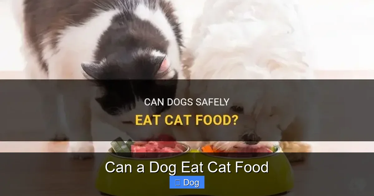 Can a Dog Eat Cat Food