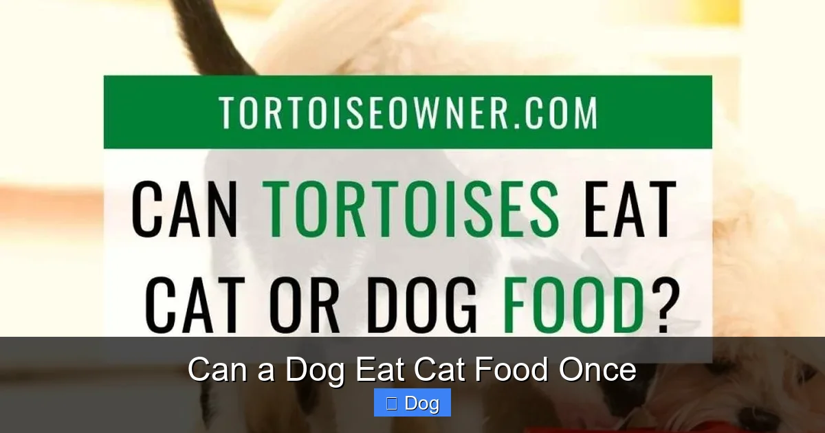 Can a Dog Eat Cat Food Once