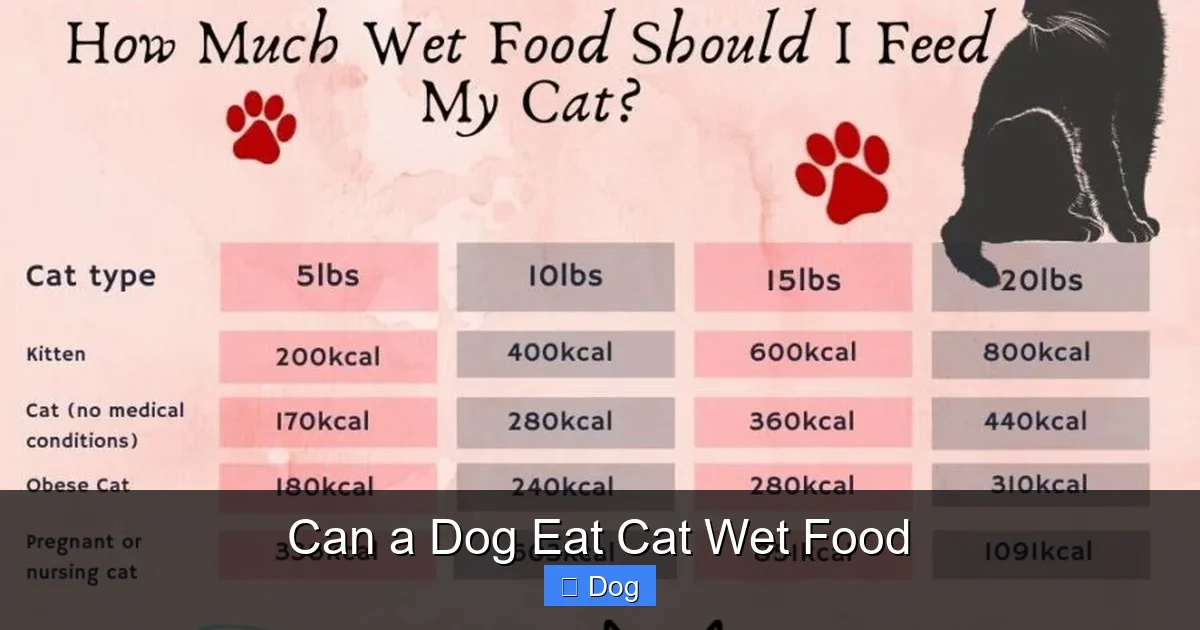 Can a Dog Eat Cat Wet Food