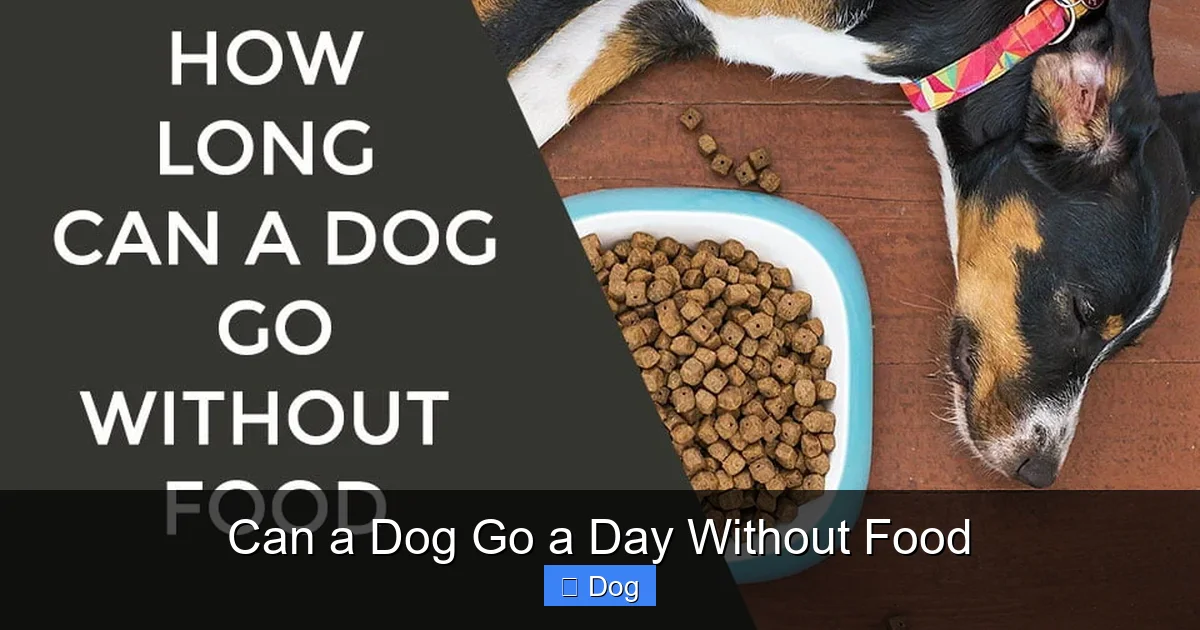 Can a Dog Go a Day Without Food