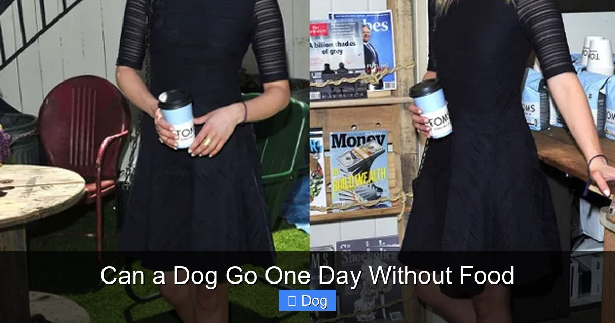 Can a Dog Go One Day Without Food