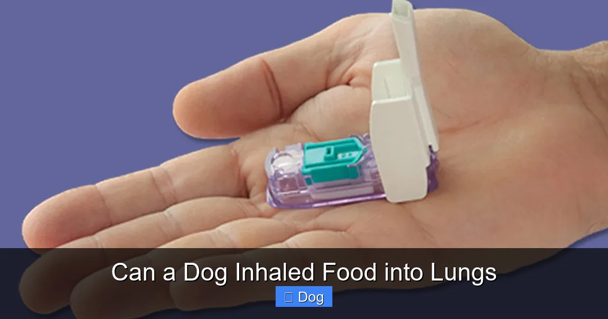 Can a Dog Inhaled Food into Lungs