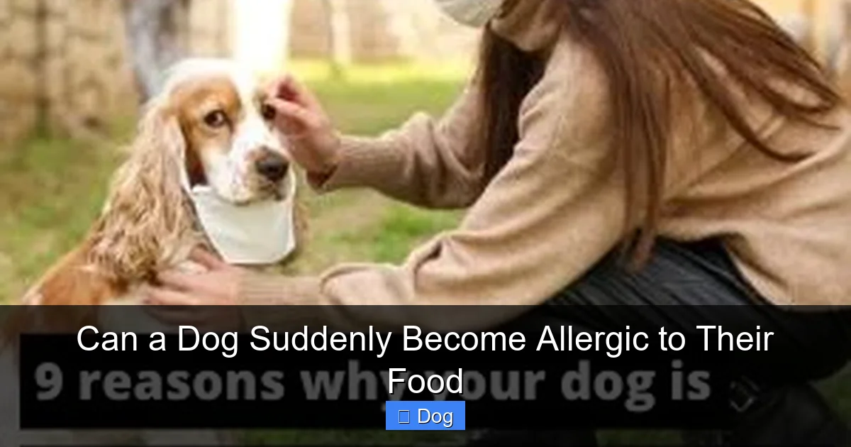 Can a Dog Suddenly Become Allergic to Their Food