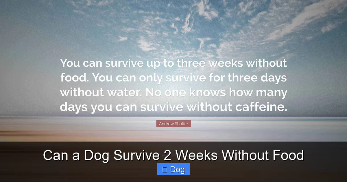 Can a Dog Survive 2 Weeks Without Food