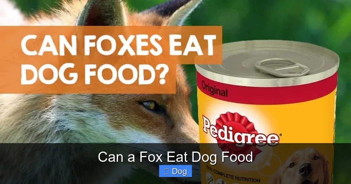 Can a Fox Eat Dog Food