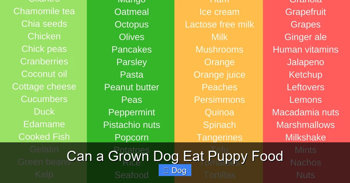 Can a Grown Dog Eat Puppy Food