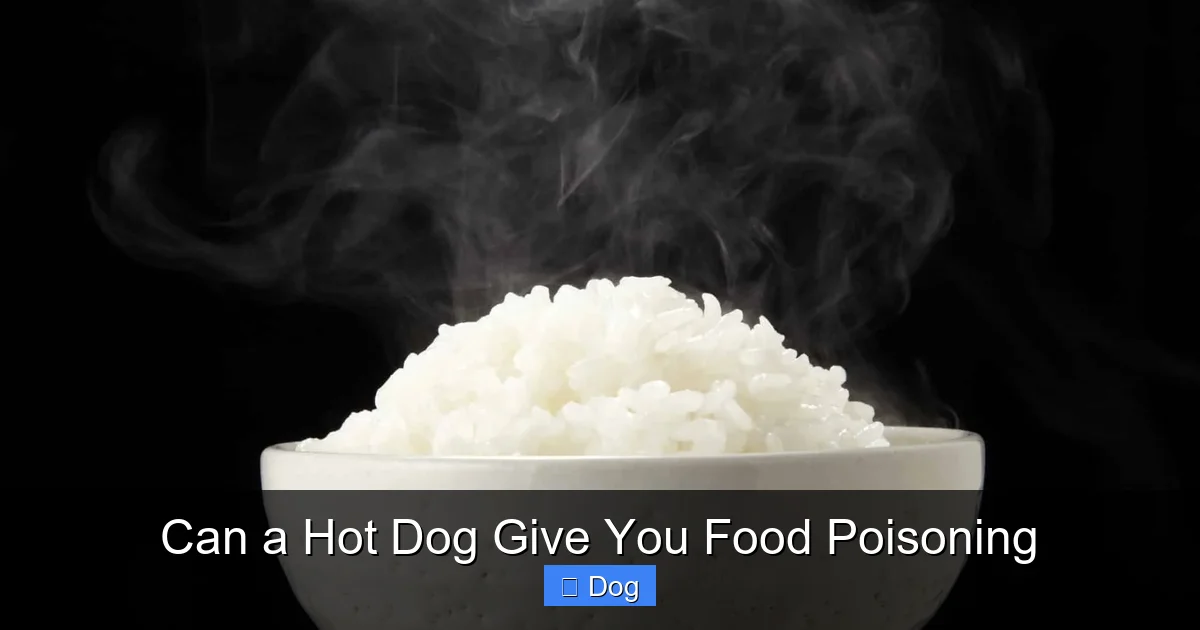 Can a Hot Dog Give You Food Poisoning