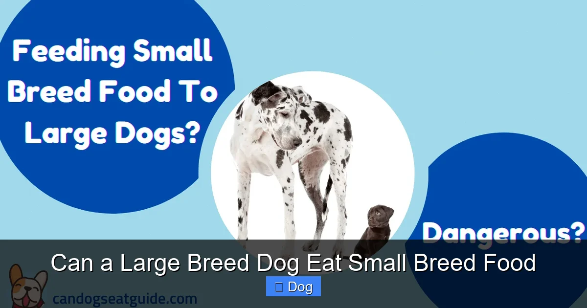 Can a Large Breed Dog Eat Small Breed Food
