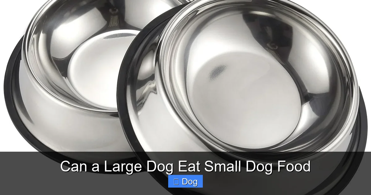 Can a Large Dog Eat Small Dog Food