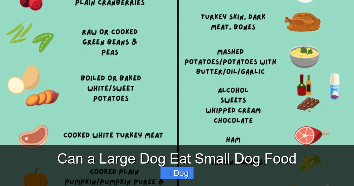 Can a Large Dog Eat Small Dog Food