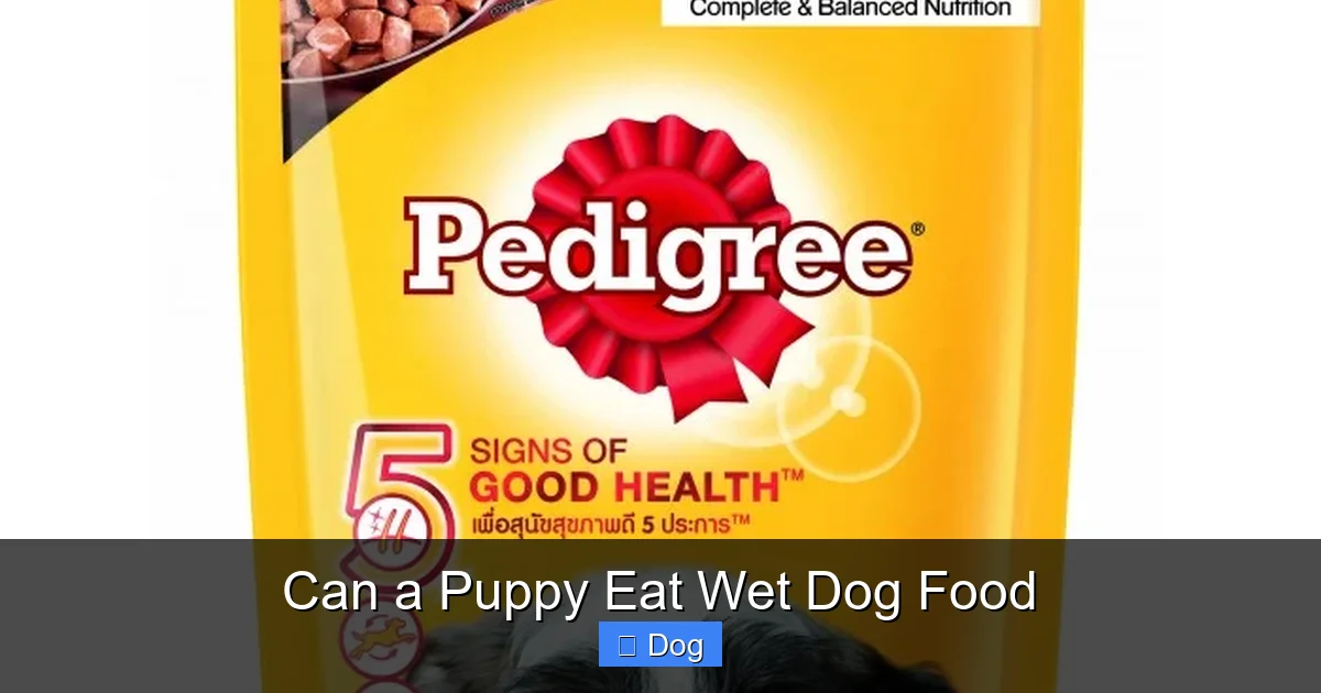Can a Puppy Eat Wet Dog Food