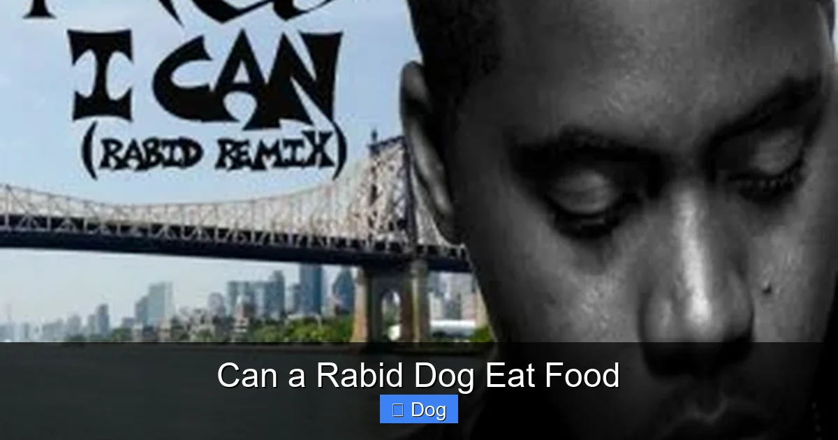 Can a Rabid Dog Eat Food