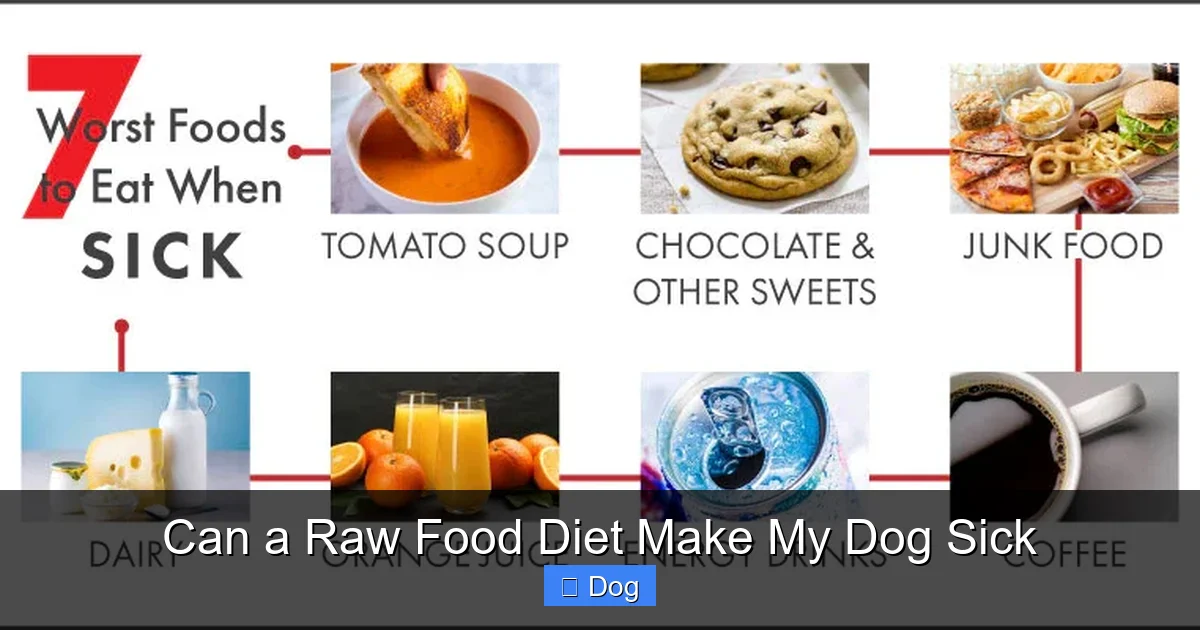 Can a Raw Food Diet Make My Dog Sick