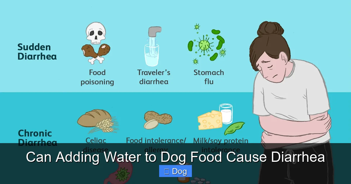 Can Adding Water to Dog Food Cause Diarrhea